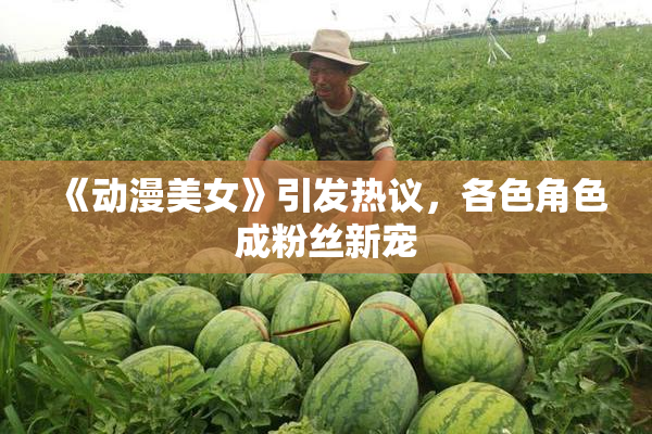 《动漫美女》引发热议，各色角色成粉丝新宠