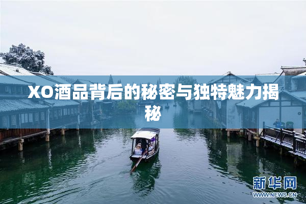 XO酒品背后的秘密与独特魅力揭秘
