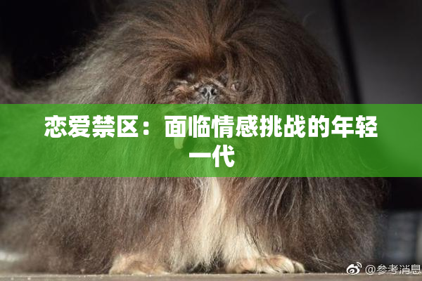 恋爱禁区：面临情感挑战的年轻一代