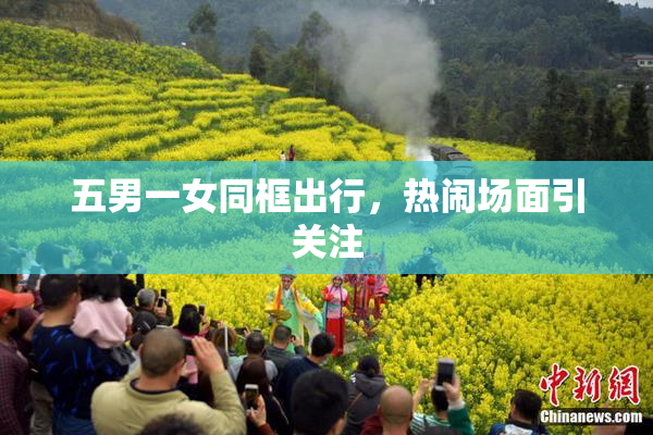 五男一女同框出行，热闹场面引关注
