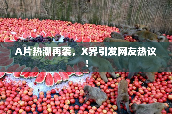 A片热潮再袭，X界引发网友热议！