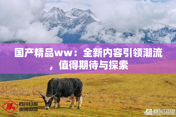 国产精品ww：全新内容引领潮流，值得期待与探索