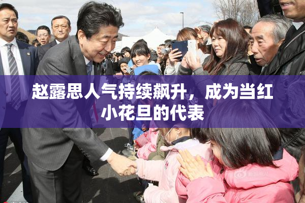 赵露思人气持续飙升，成为当红小花旦的代表