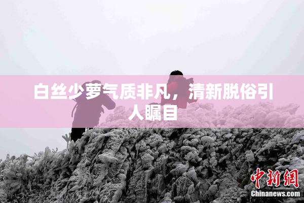 白丝少萝气质非凡，清新脱俗引人瞩目