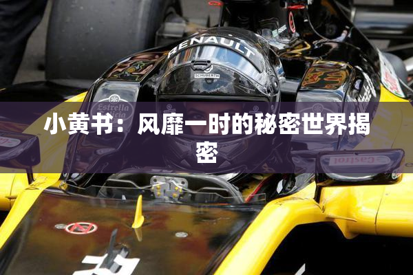 小黄书：风靡一时的秘密世界揭密