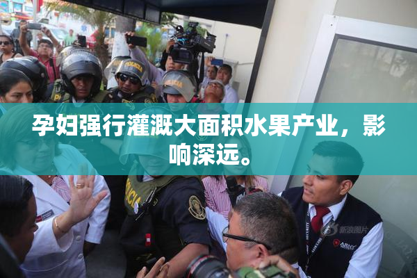 孕妇强行灌溉大面积水果产业，影响深远。