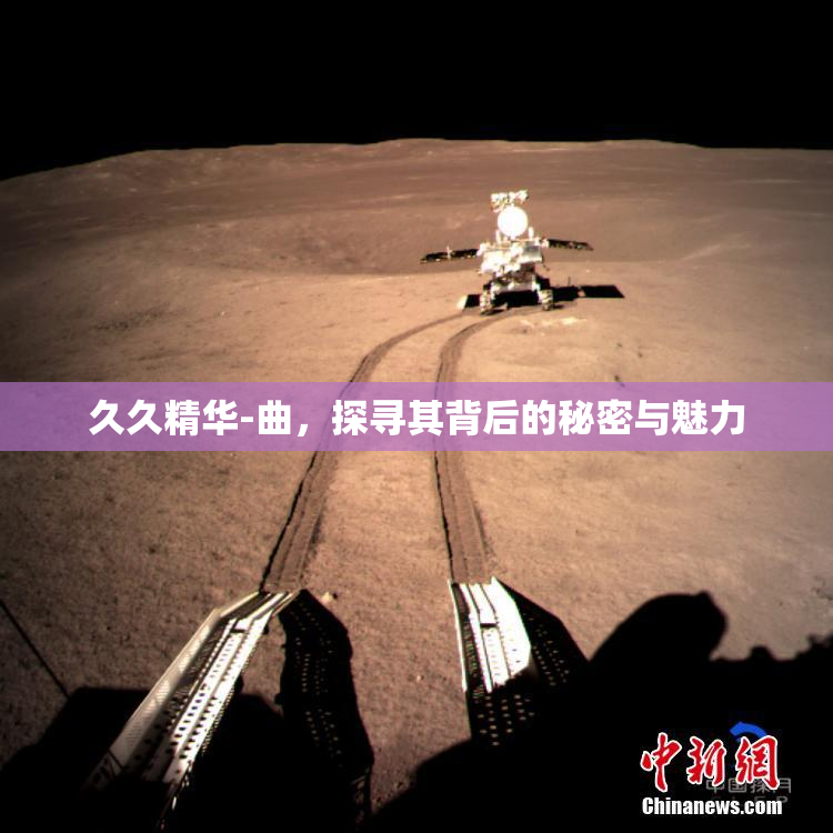 久久精华-曲，探寻其背后的秘密与魅力