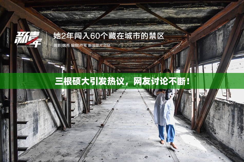 三根硕大引发热议，网友讨论不断！