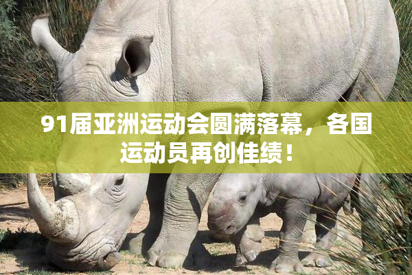 91届亚洲运动会圆满落幕，各国运动员再创佳绩！