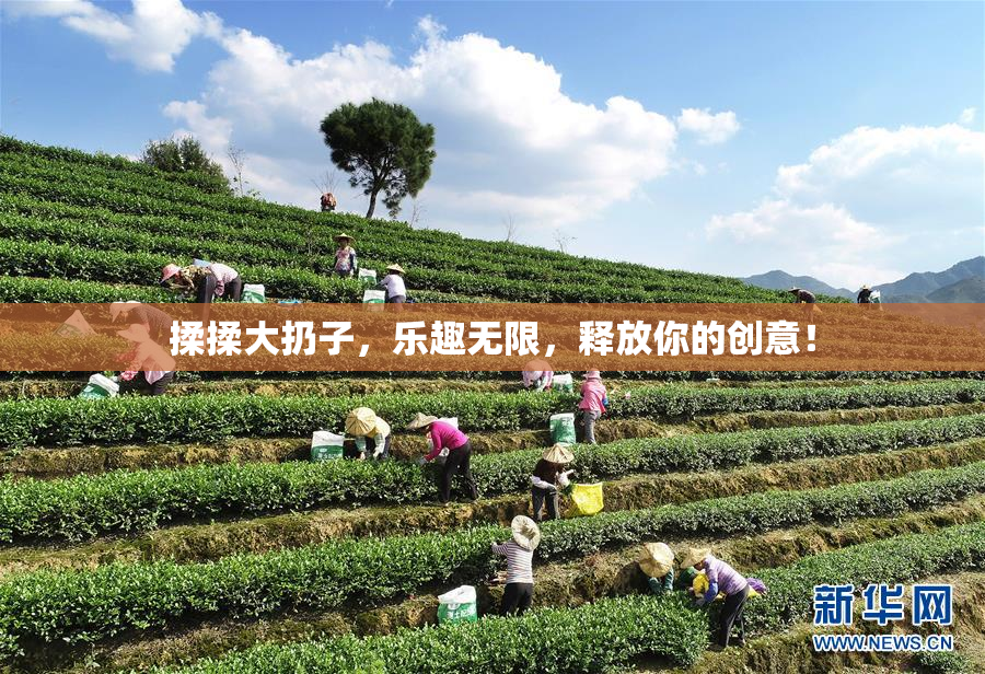 揉揉大扔子，乐趣无限，释放你的创意！