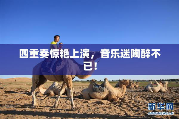 四重奏惊艳上演，音乐迷陶醉不已！