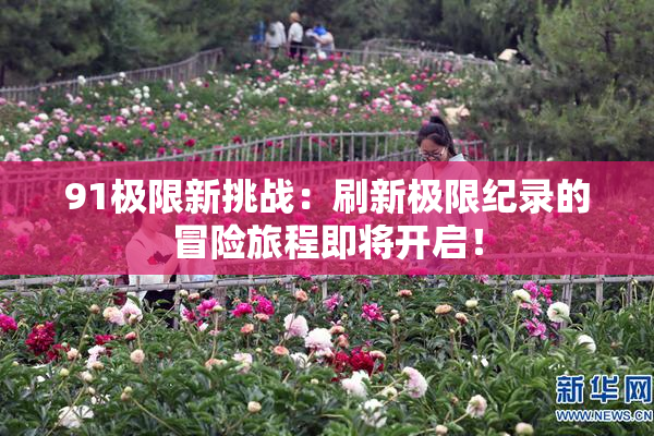 91极限新挑战：刷新极限纪录的冒险旅程即将开启！