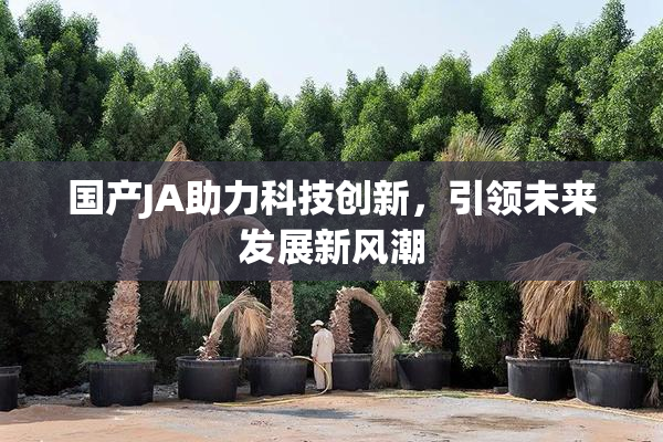 国产JA助力科技创新，引领未来发展新风潮