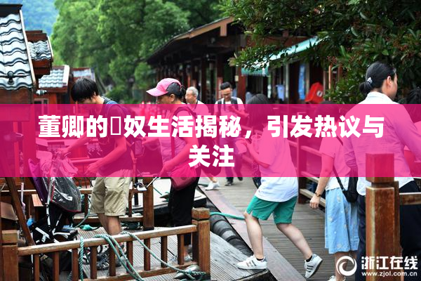 董卿的婬奴生活揭秘，引发热议与关注