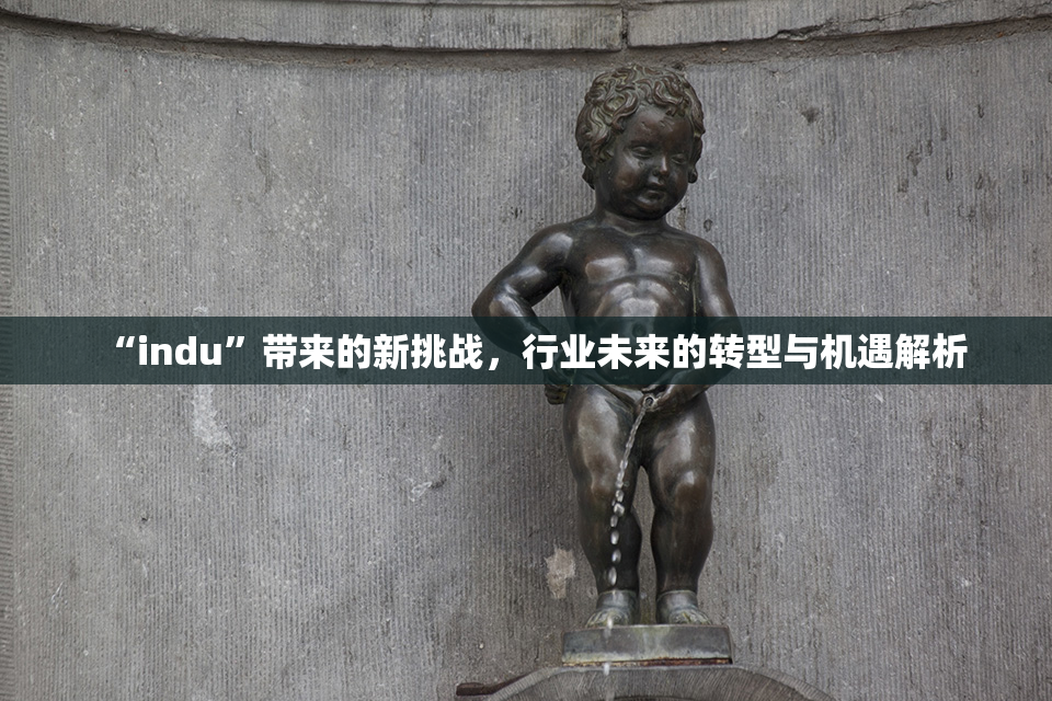 “indu”带来的新挑战，行业未来的转型与机遇解析