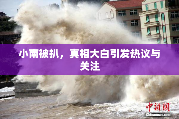 小南被扒，真相大白引发热议与关注