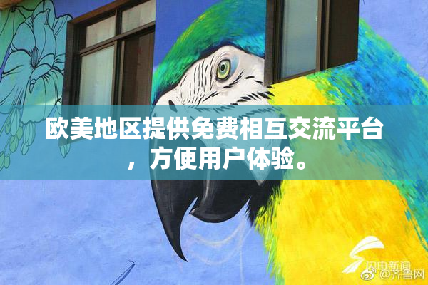 欧美地区提供免费相互交流平台，方便用户体验。