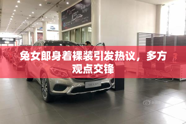 兔女郎身着裸装引发热议，多方观点交锋