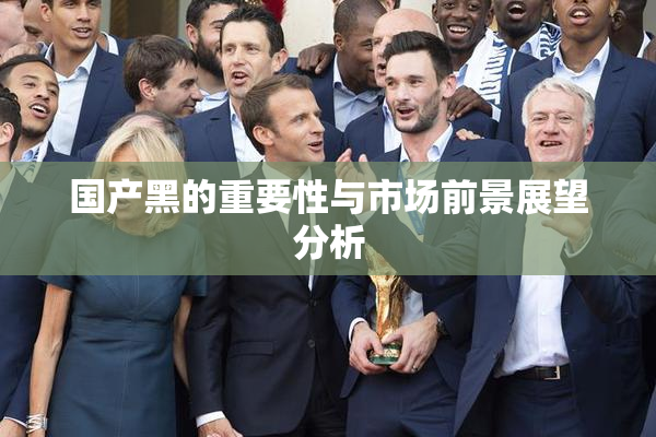 国产黑的重要性与市场前景展望分析