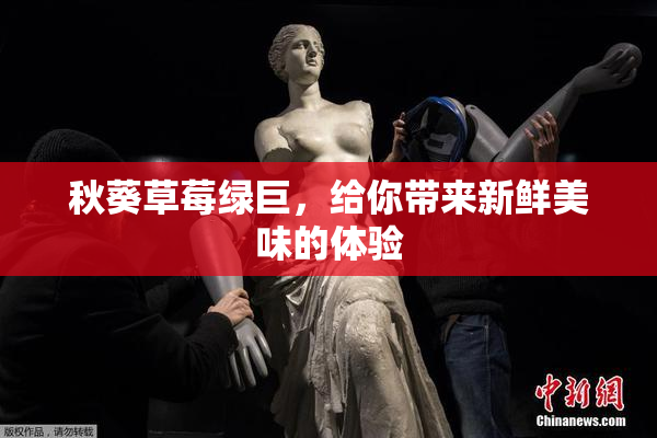 秋葵草莓绿巨，给你带来新鲜美味的体验