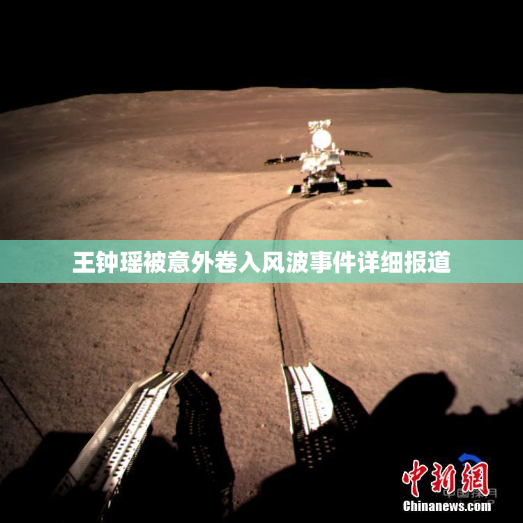 王钟瑶被意外卷入风波事件详细报道