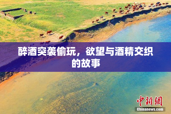 醉酒突袭偷玩，欲望与酒精交织的故事