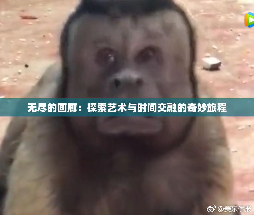 无尽的画廊：探索艺术与时间交融的奇妙旅程