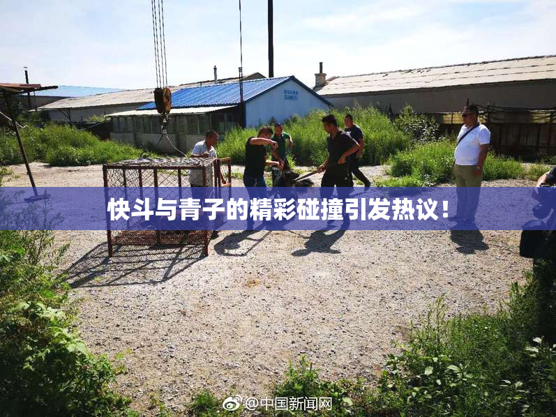 快斗与青子的精彩碰撞引发热议！