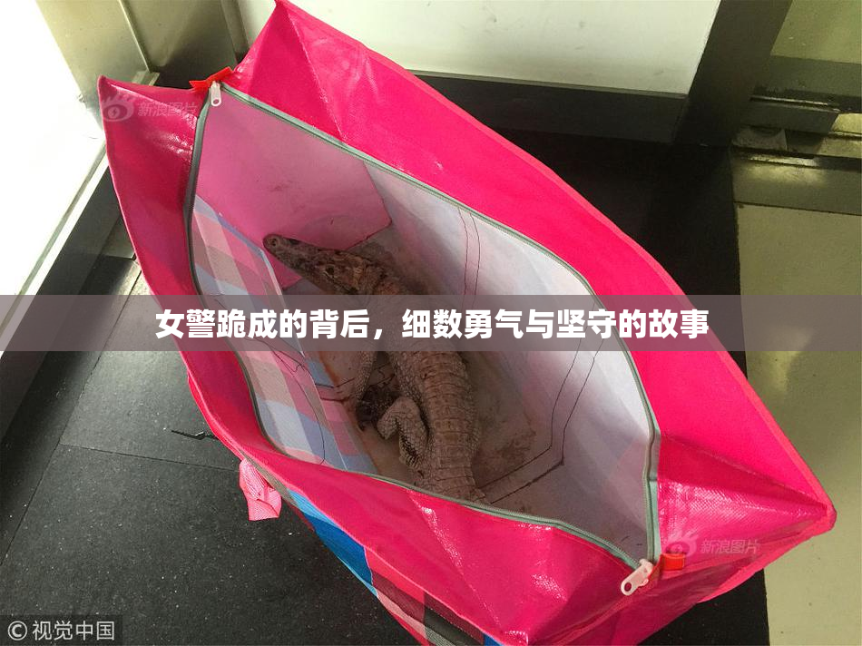 女警跪成的背后，细数勇气与坚守的故事