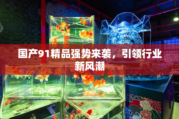 国产91精品强势来袭，引领行业新风潮