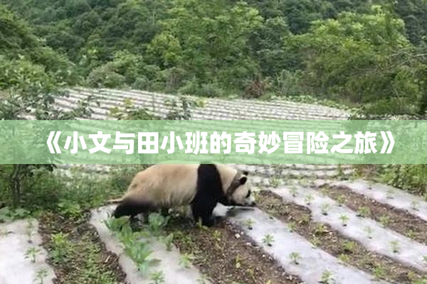 《小文与田小班的奇妙冒险之旅》