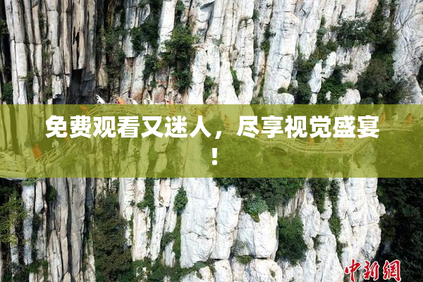 免费观看又迷人，尽享视觉盛宴！