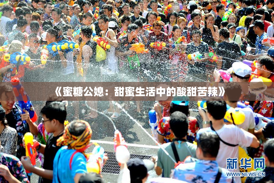 《蜜糖公媳：甜蜜生活中的酸甜苦辣》