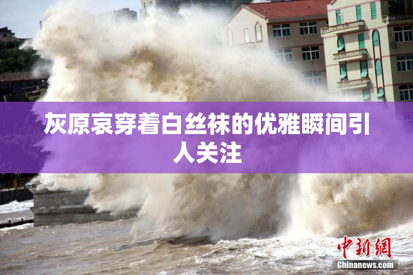 灰原哀穿着白丝袜的优雅瞬间引人关注