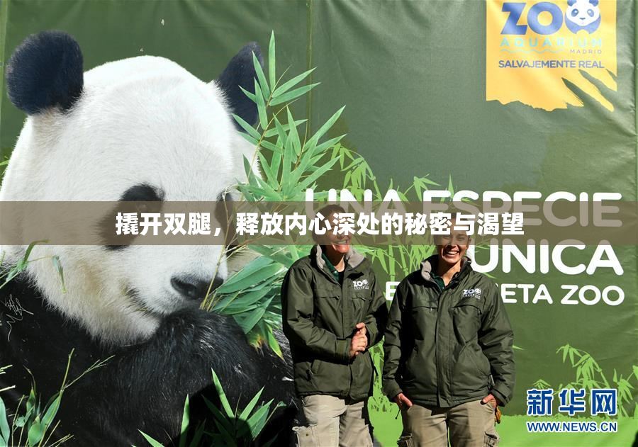 撬开双腿，释放内心深处的秘密与渴望