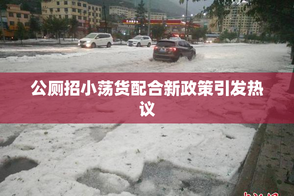 公厕招小荡货配合新政策引发热议