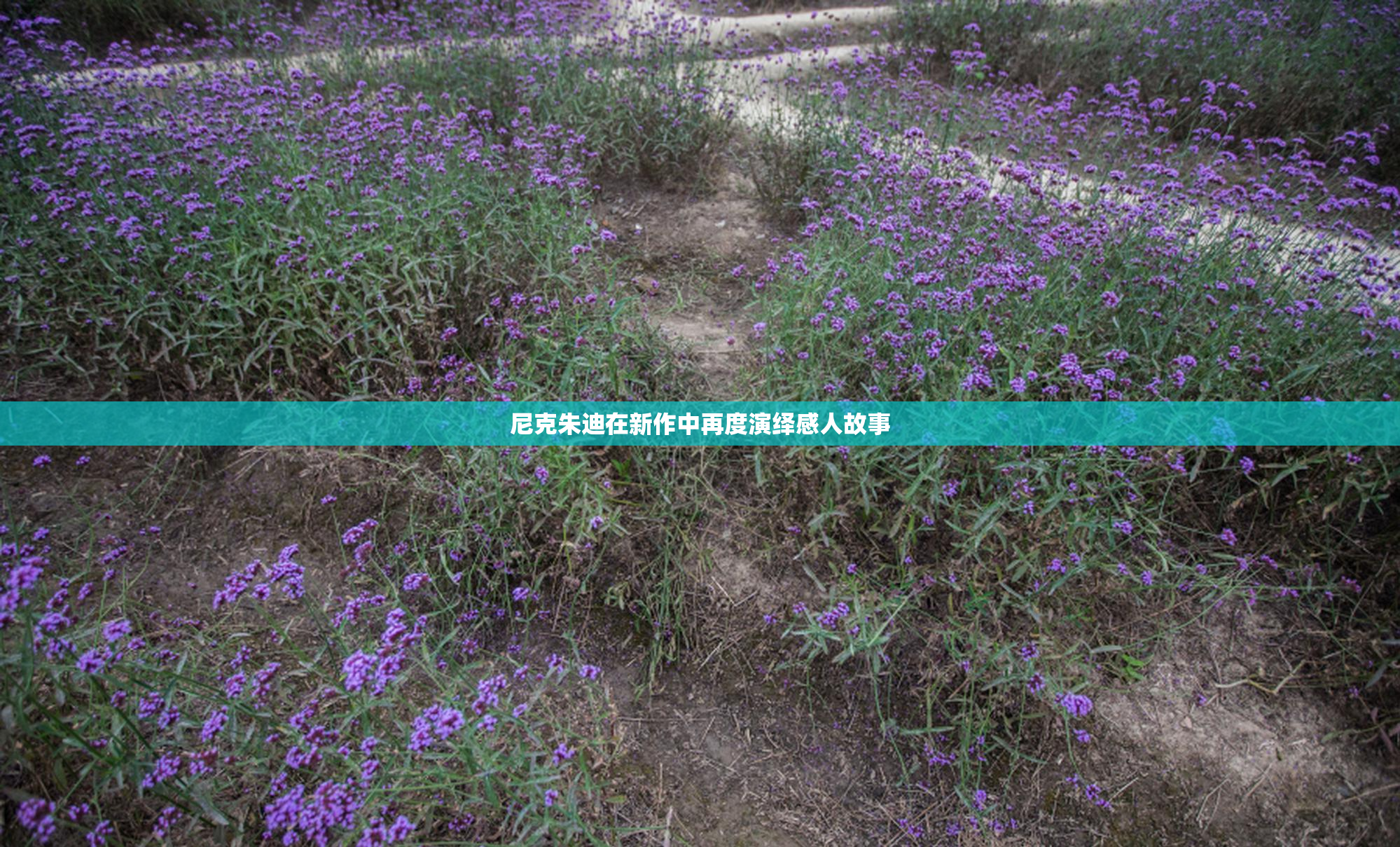 尼克朱迪在新作中再度演绎感人故事