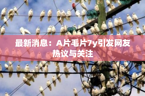 最新消息：A片毛片7y引发网友热议与关注