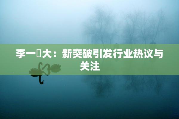 李一挏大：新突破引发行业热议与关注