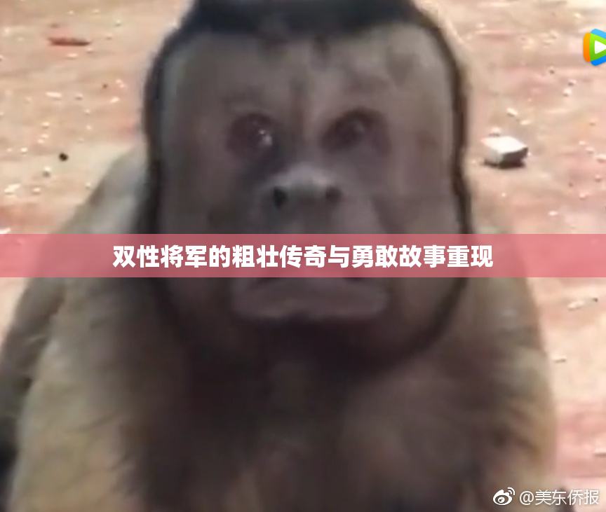 双性将军的粗壮传奇与勇敢故事重现
