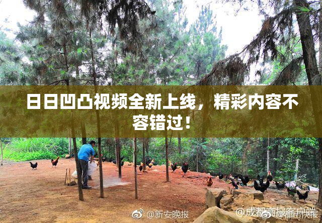 日日凹凸视频全新上线，精彩内容不容错过！