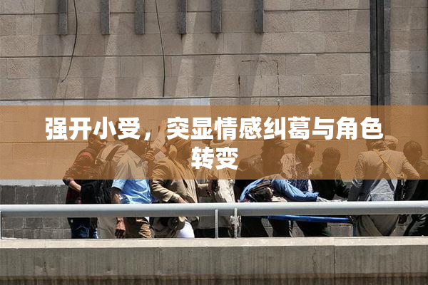 强开小受，突显情感纠葛与角色转变