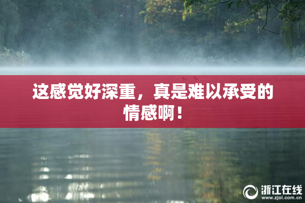 这感觉好深重，真是难以承受的情感啊！