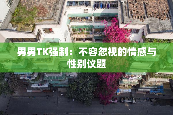 男男TK强制：不容忽视的情感与性别议题
