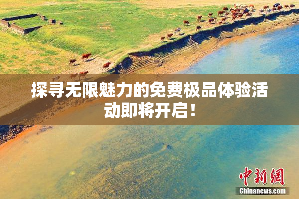 探寻无限魅力的免费极品体验活动即将开启！