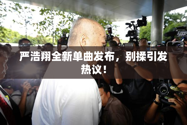 严浩翔全新单曲发布，别揉引发热议！