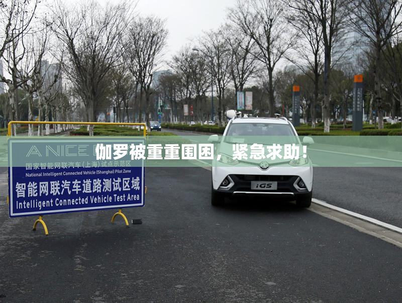 伽罗被重重围困，紧急求助！