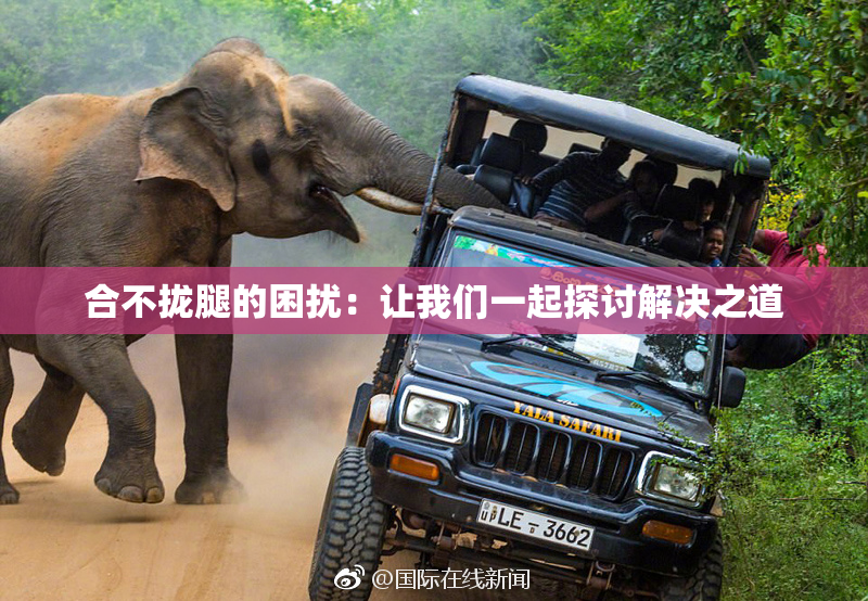 合不拢腿的困扰：让我们一起探讨解决之道