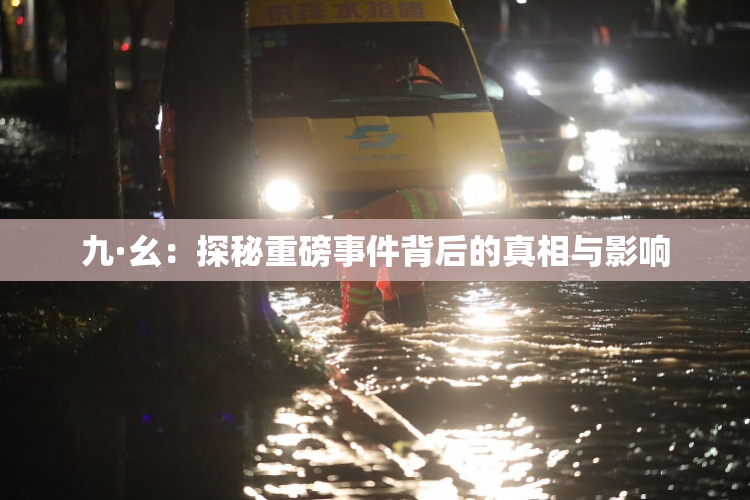 九·幺：探秘重磅事件背后的真相与影响