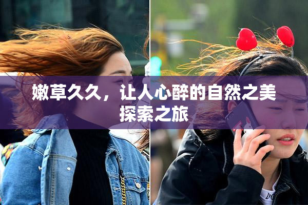 嫩草久久，让人心醉的自然之美探索之旅